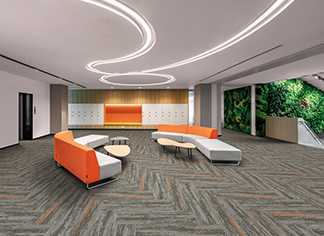 pp-carpet
